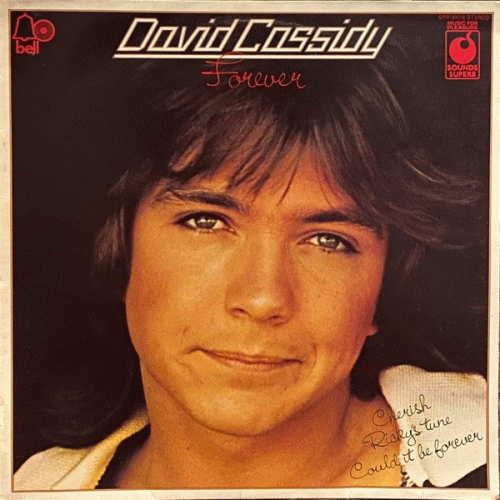David Cassidy : Forever